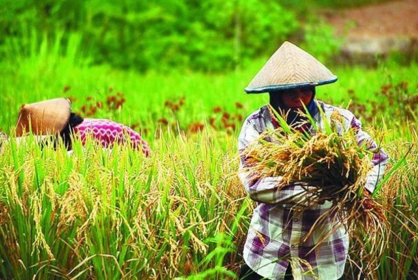 Harga Terus Naik, PKS Dorong Badan Pangan Nasional Bentuk Sistem Pangan yang Tangguh